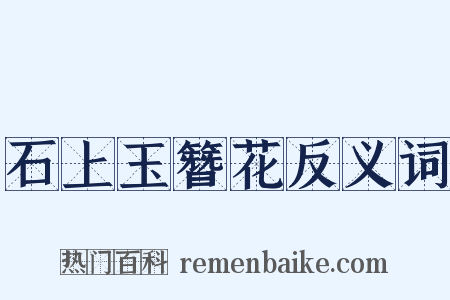 石上玉簪花反义词是什么意思的图片
